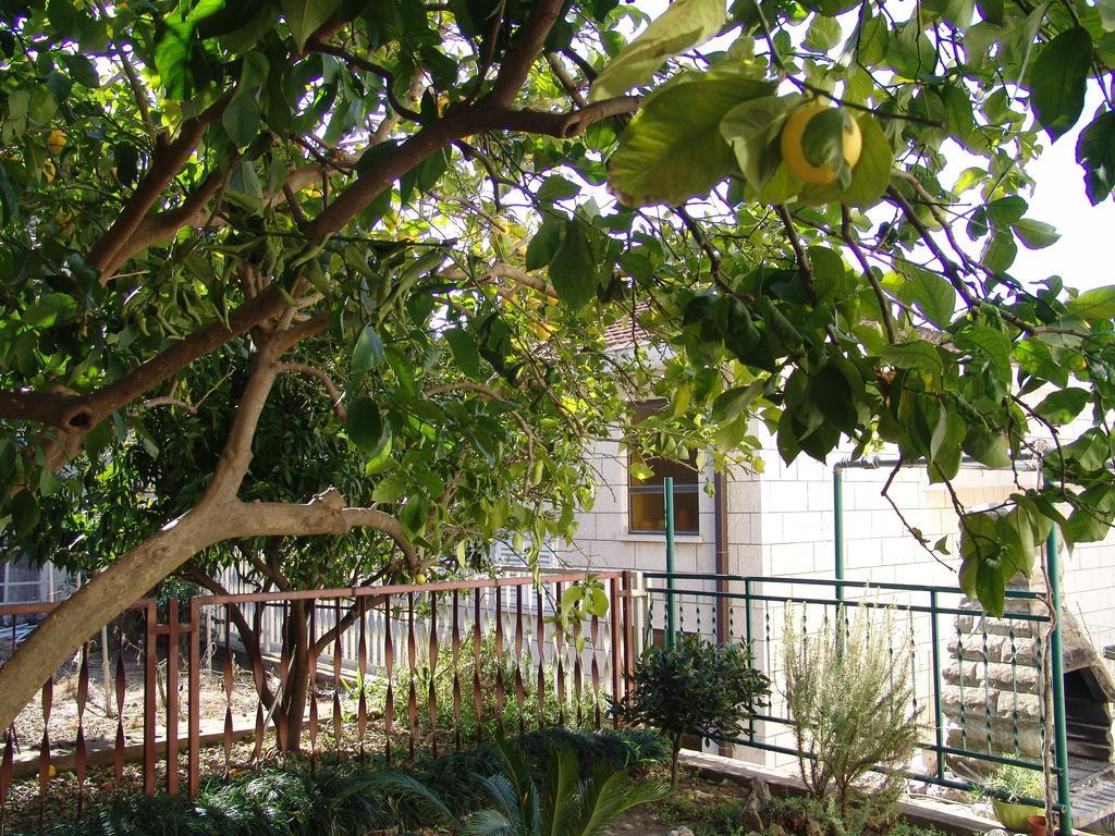 Apartment Davor Gradac  Cameră foto